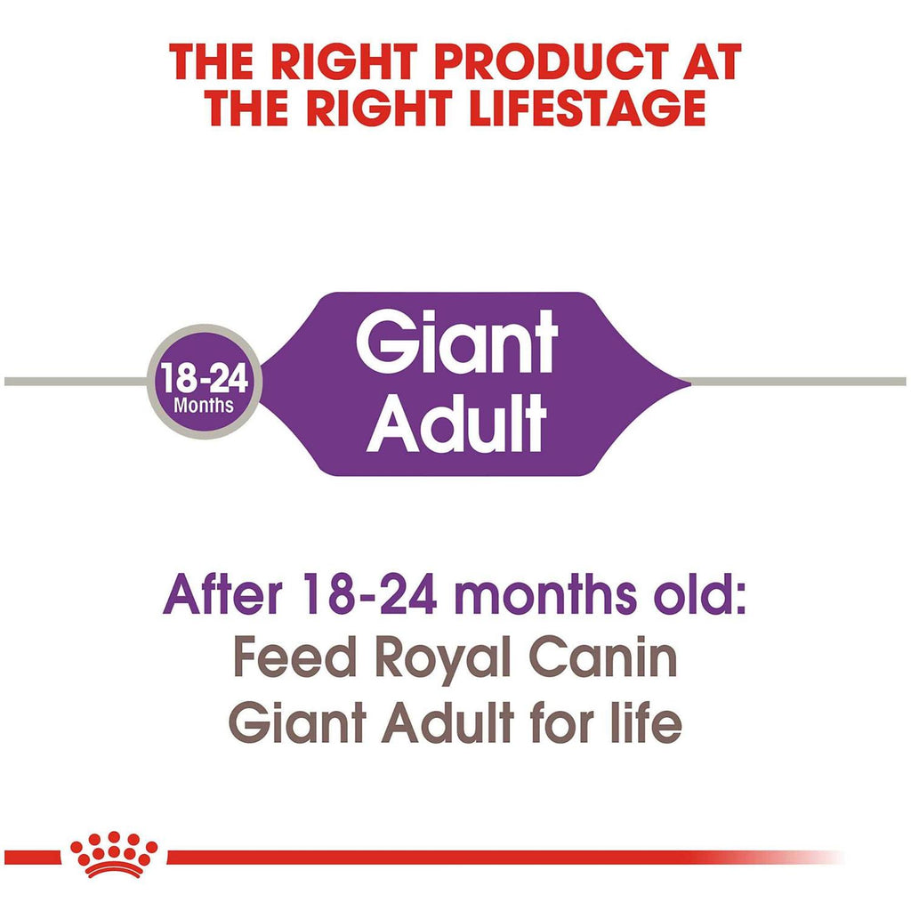 Adult Dog Food W796838
