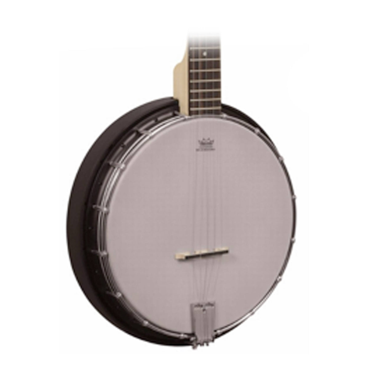 5-String Banjo B58830