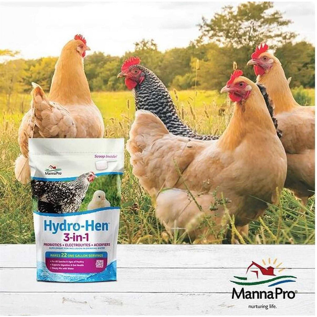 3-in-1 Supplement R56188