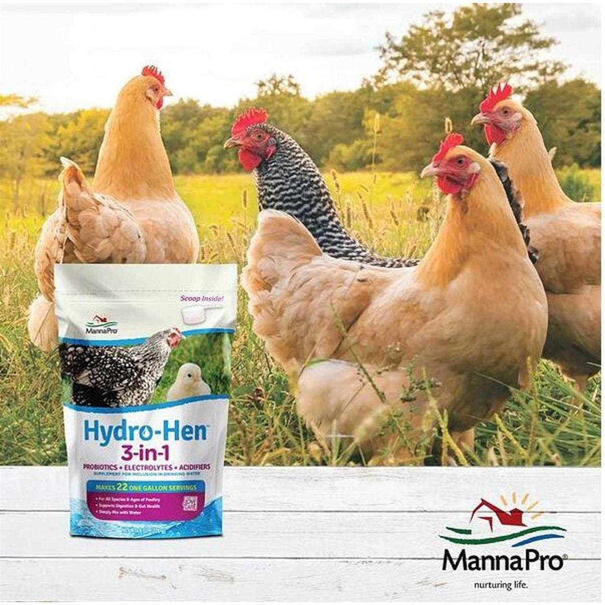 3-in-1 Supplement R56188
