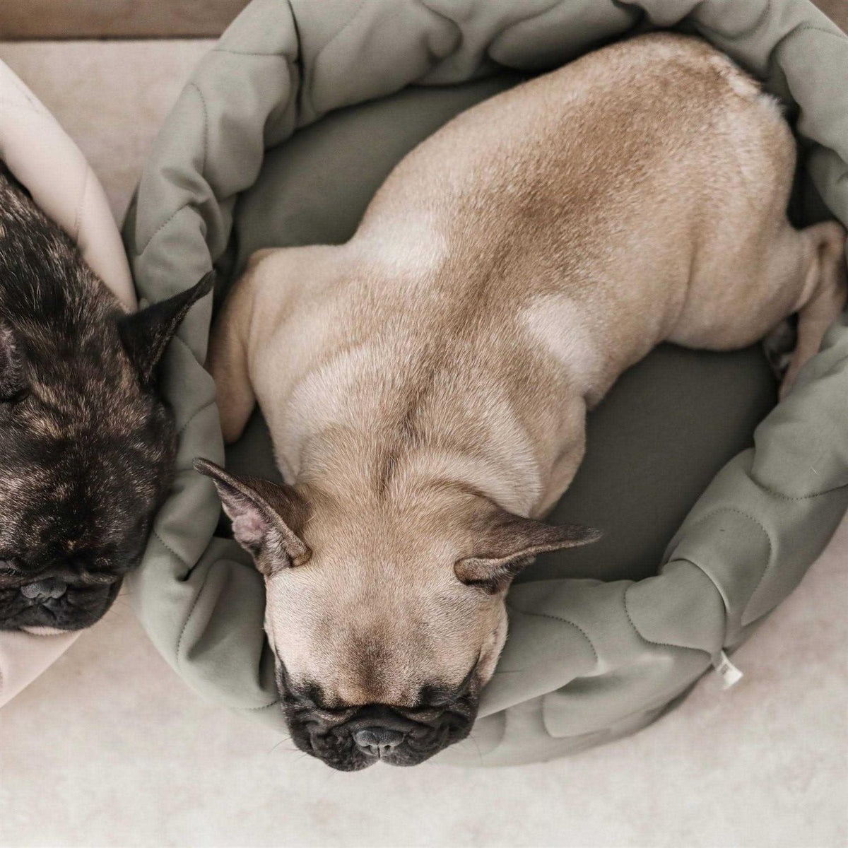 Reversible Donut Pet Bed M335