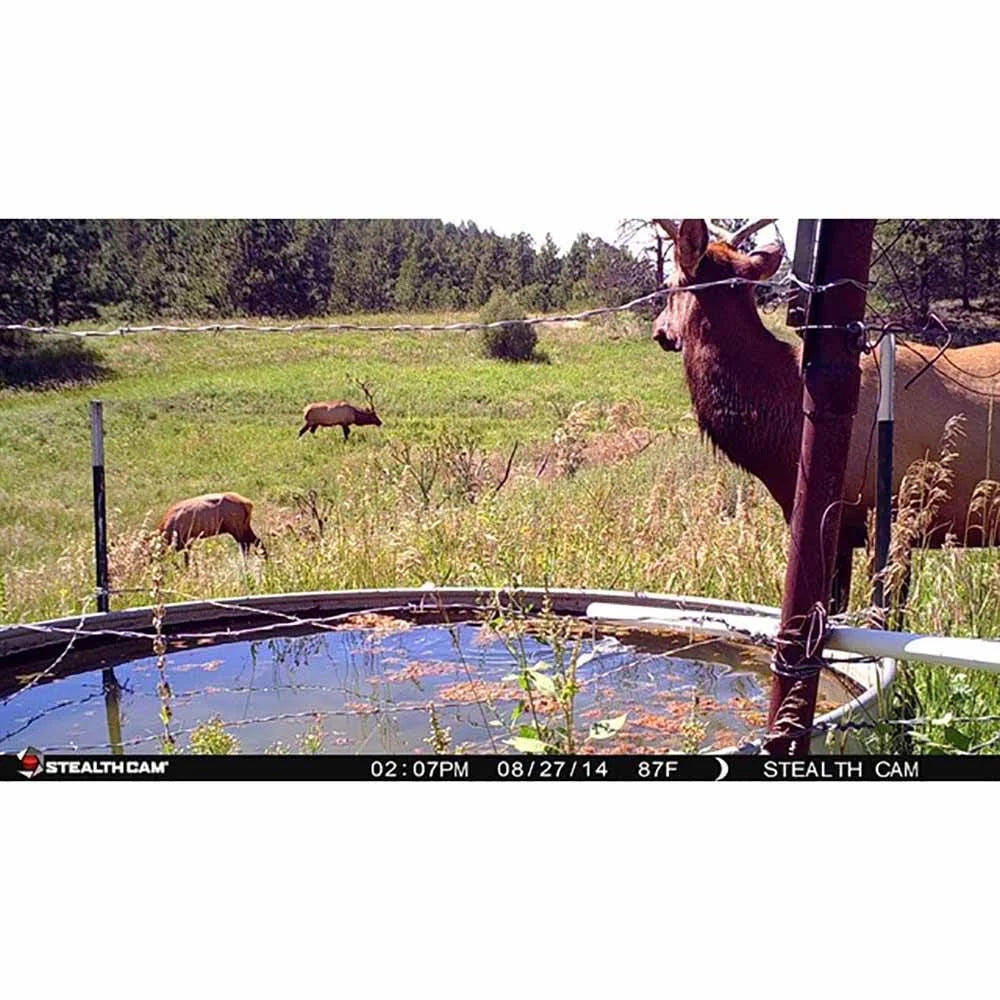 14MP Infrared Game Trail Camera 2 Pack G629