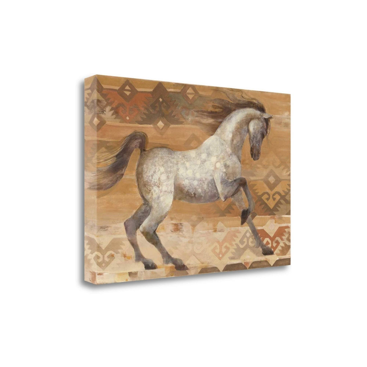 Southwest Giclee on Gallery Wrap Canvas M4623