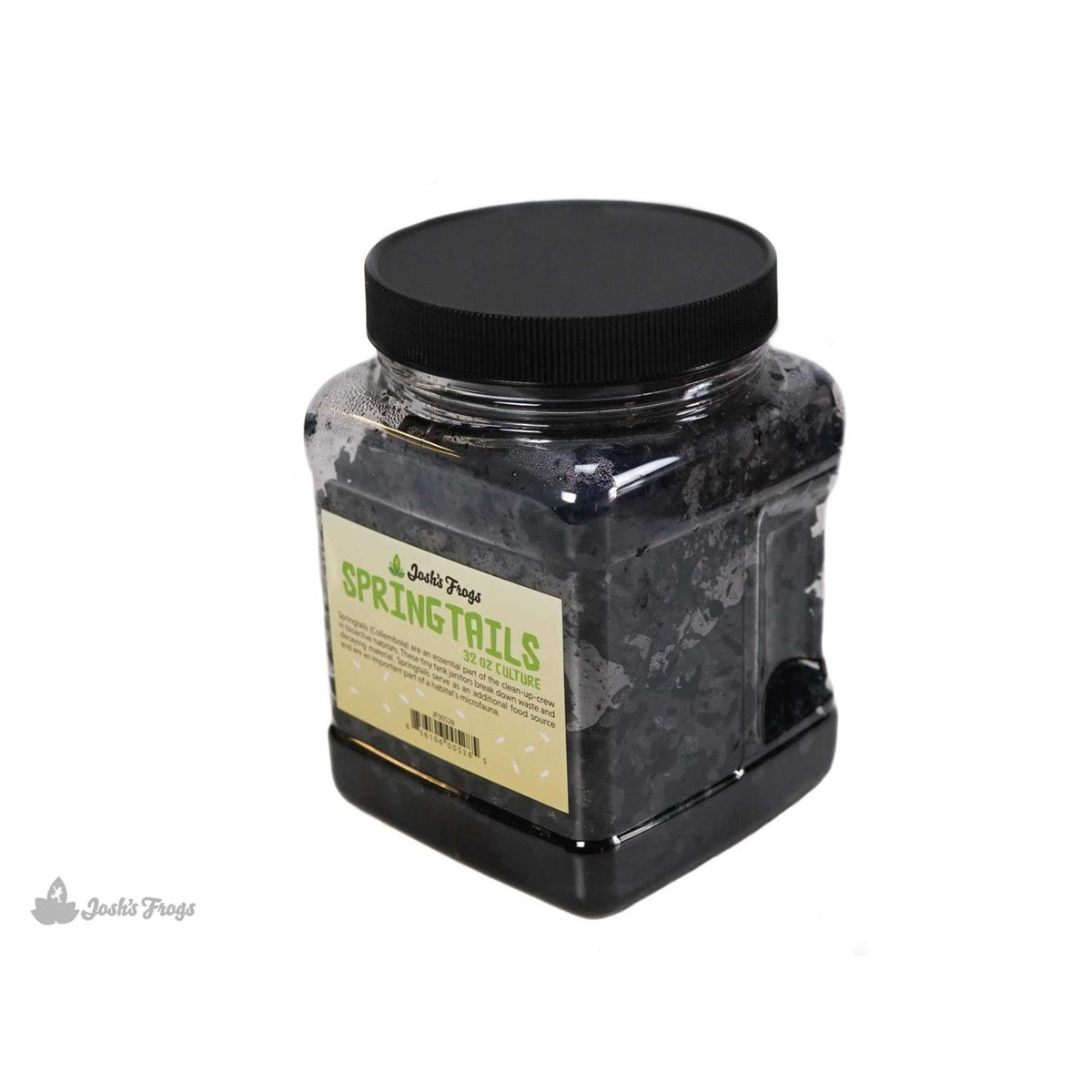 Temperate Springtail Culture A5529