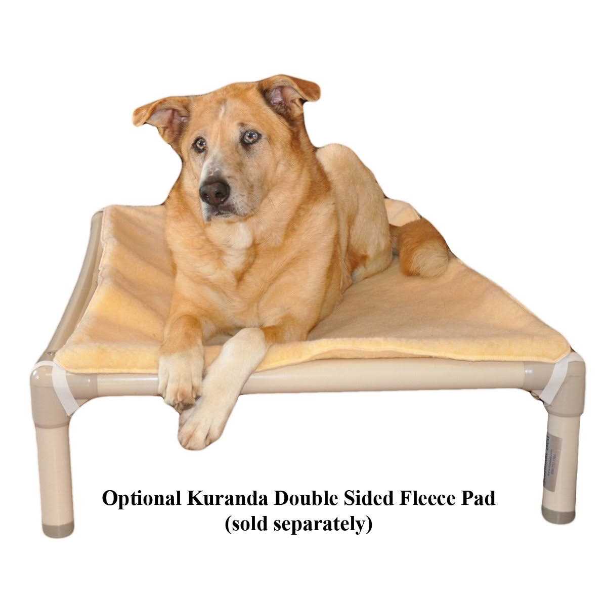 Walnut PVC Chewproof Dog Bed C403625