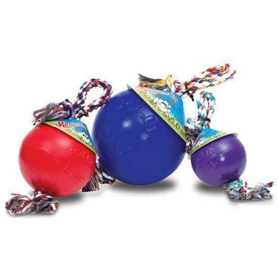 Pet Supplies Z1158