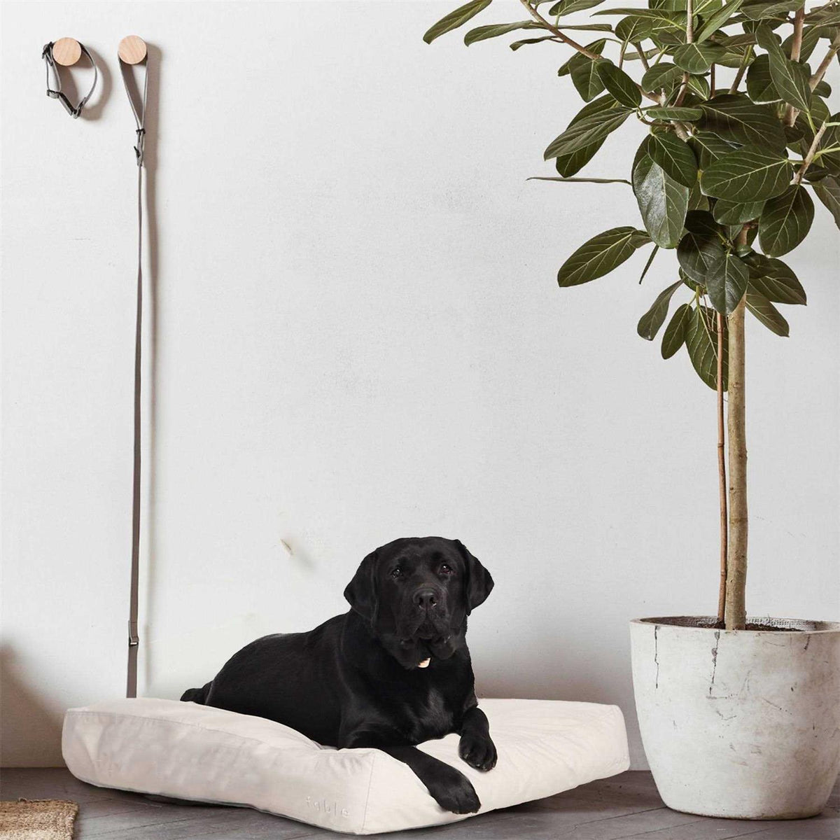 Dog Bed I40520