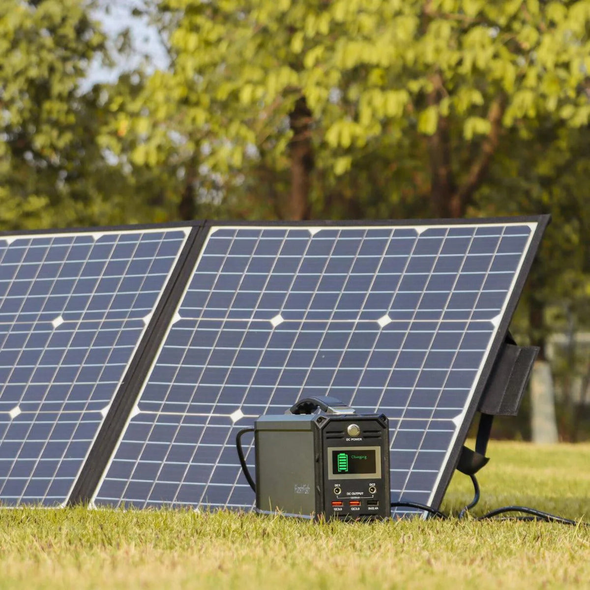 300W 222Wh Portable Power Station R523568