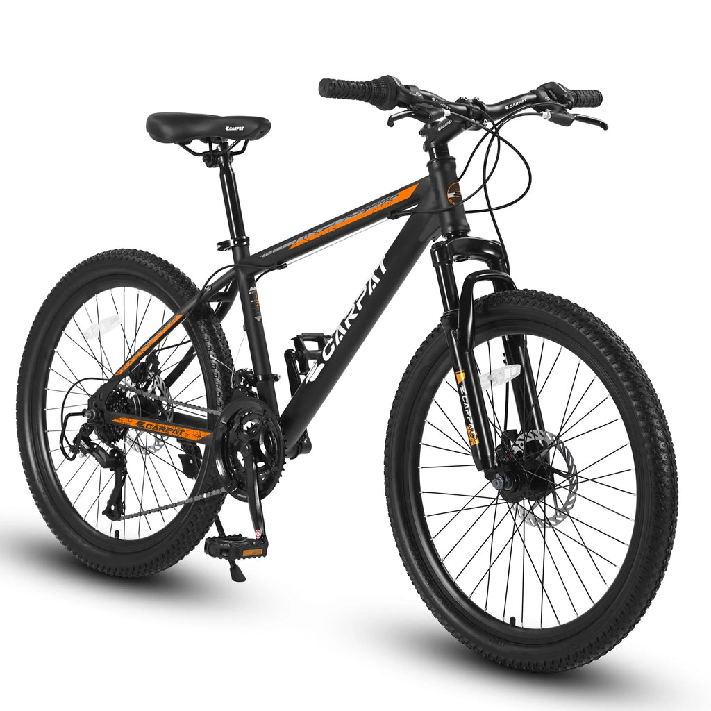 24 inch 21 Speed Mountain Bike Y1370