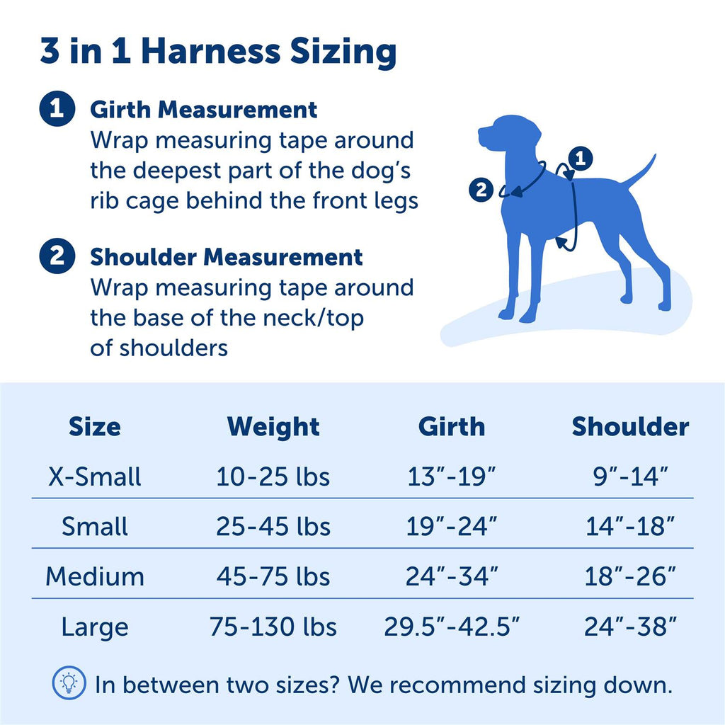 3 in 1 Harness X5783