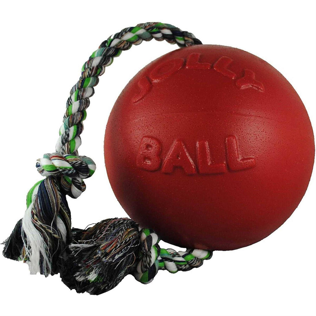 Pet Supplies Z1158