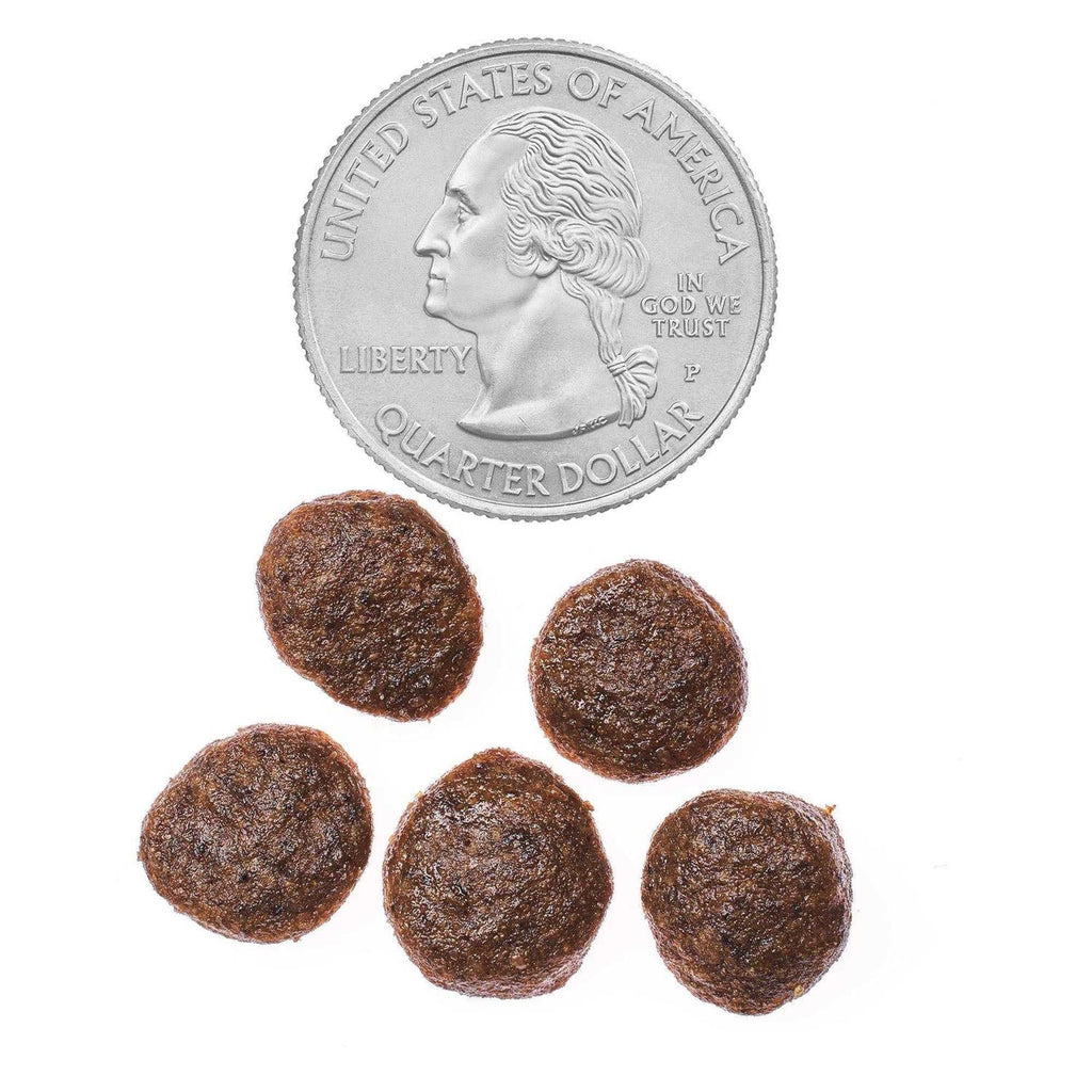Chicken & Pea Recipe Dry Dog Food V1381