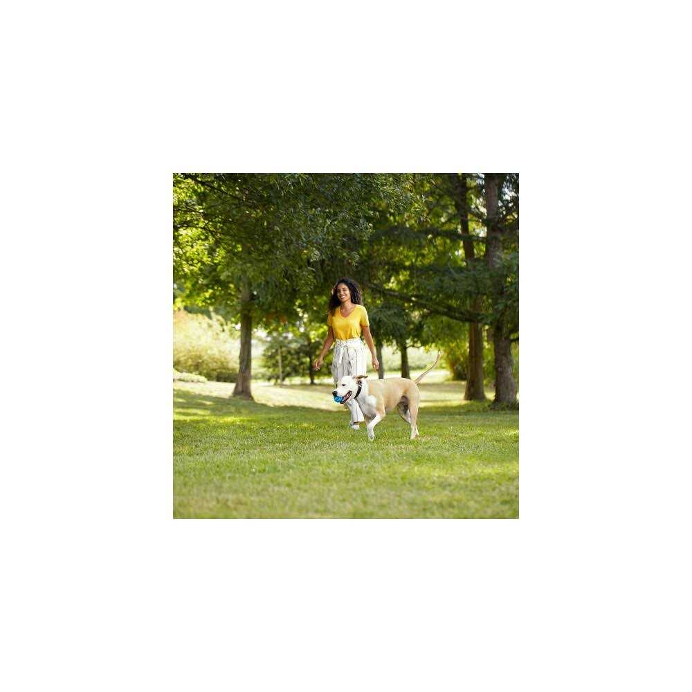 Natural Dry Dog Food with Beef D2902