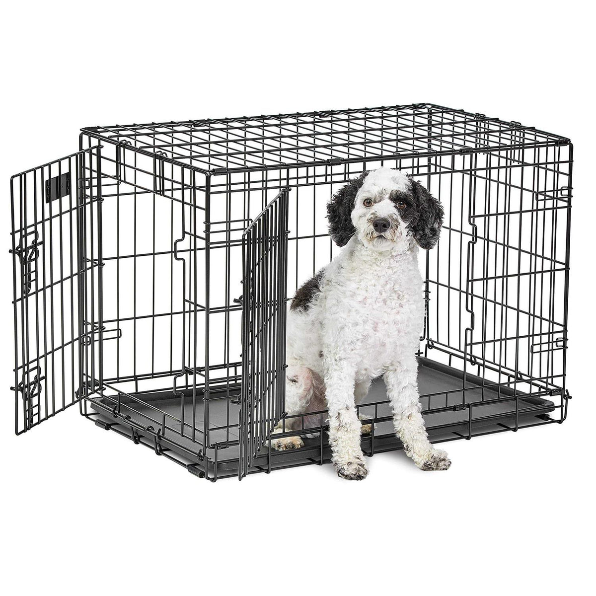 Double Door Dog Crate M29748