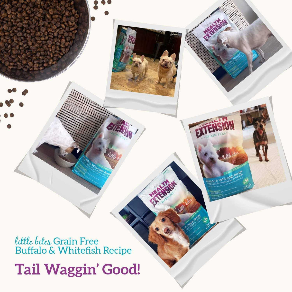 Grain Free Buffalo & Whitefish Dry Dog Food J59642