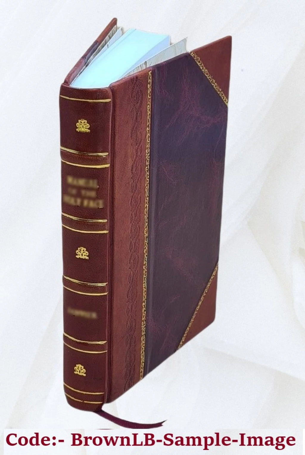 Leather Bound R477745