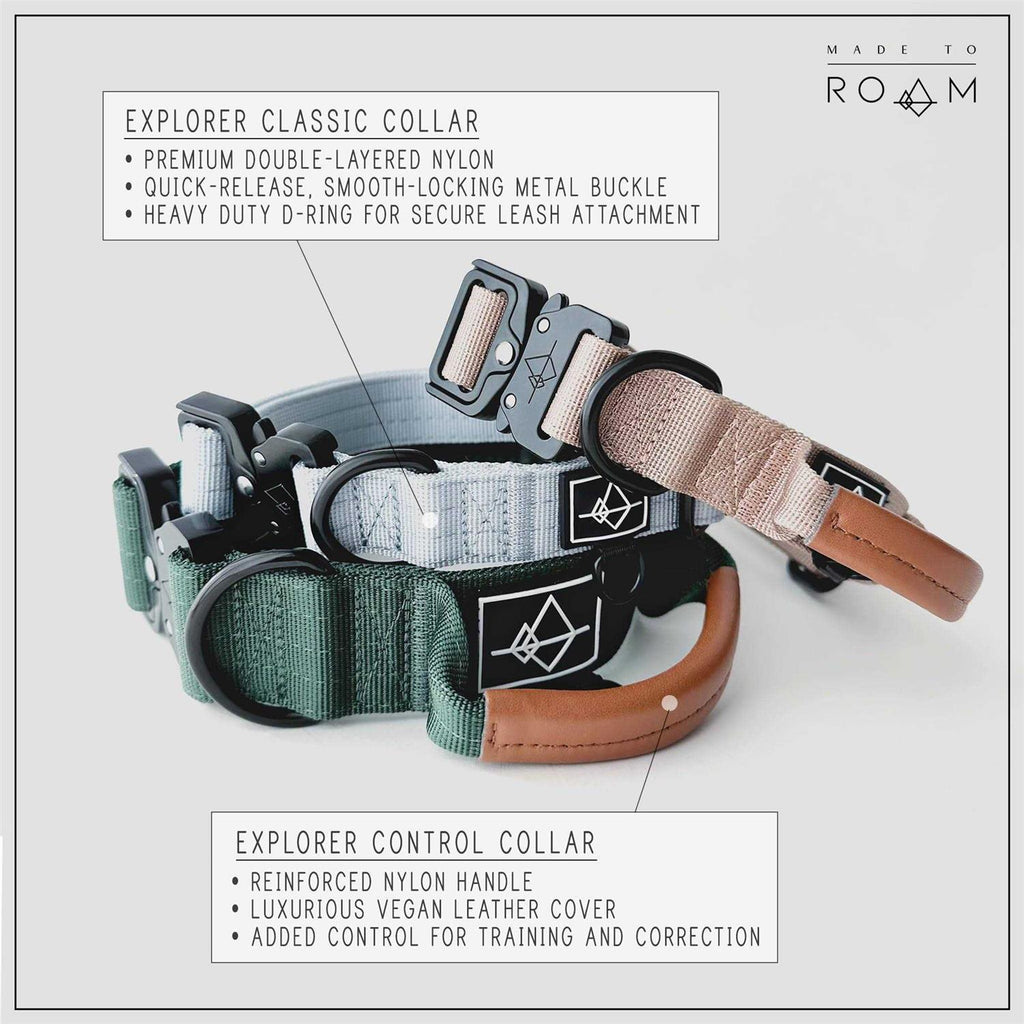 Adjustable Heavy Duty Nylon Dog Collar with Quick-Release Metal Buckle H92945