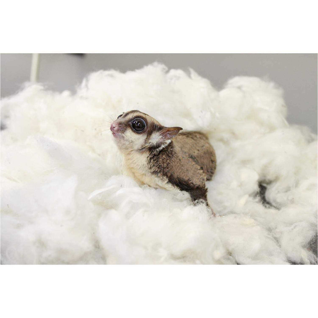 100% Cotton Animal Bedding E2683