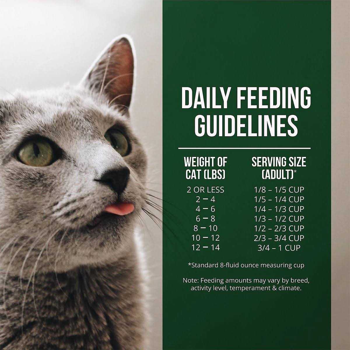 Salmon Chicken Dry Cat Food G8209