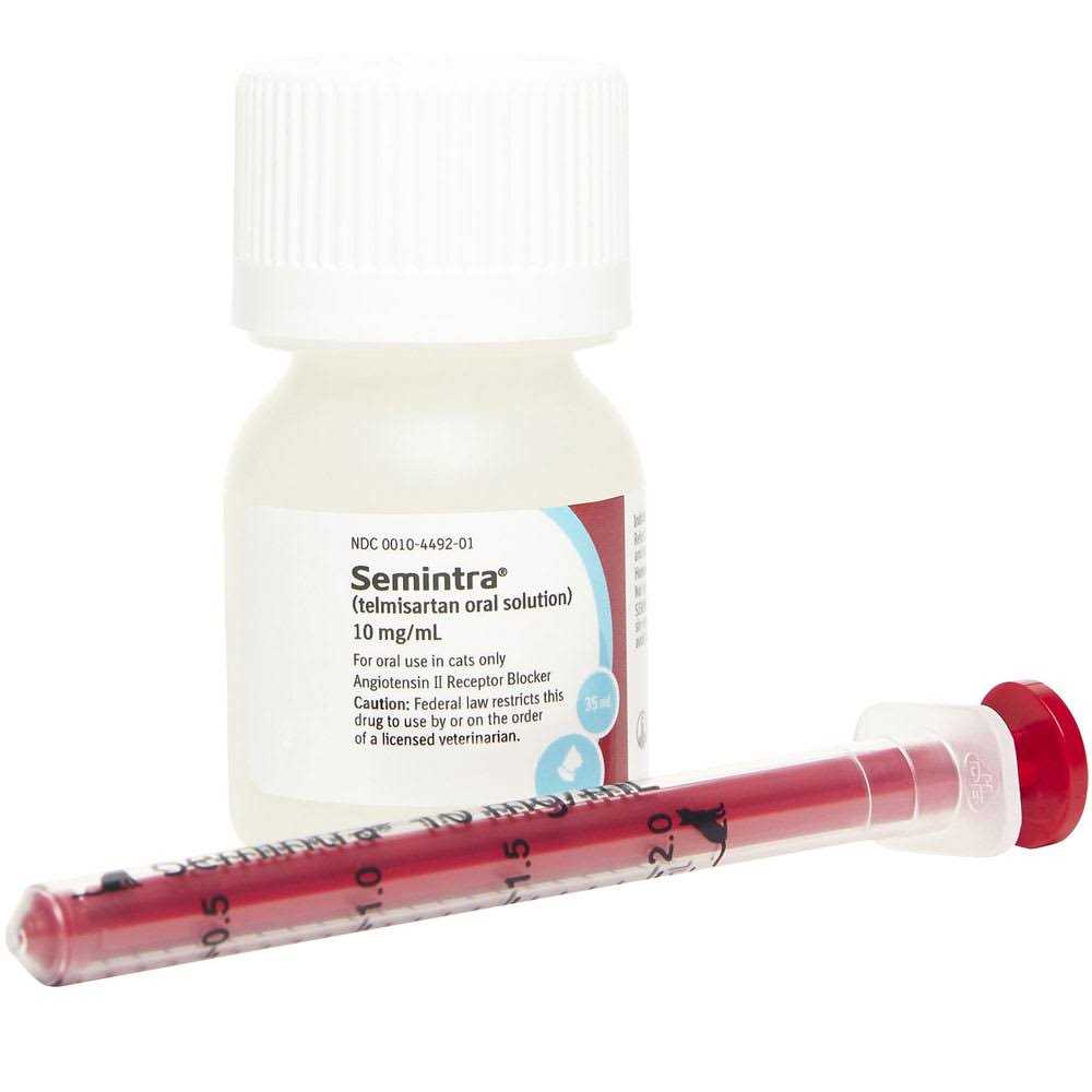 Oral Solution for Cats 10 mg/ml Y1900