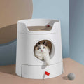 XL 2-in-1 Cat Litter Box with Scratch Basin N245022