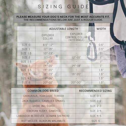 Adjustable Heavy Duty Nylon Dog Collar with Quick-Release Metal Buckle H92945