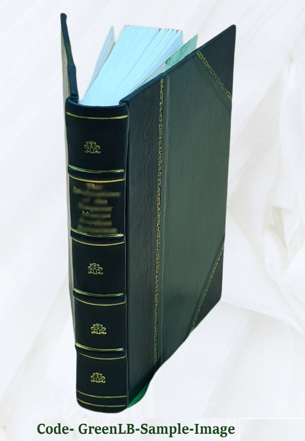 Meditations Leather Bound B513581