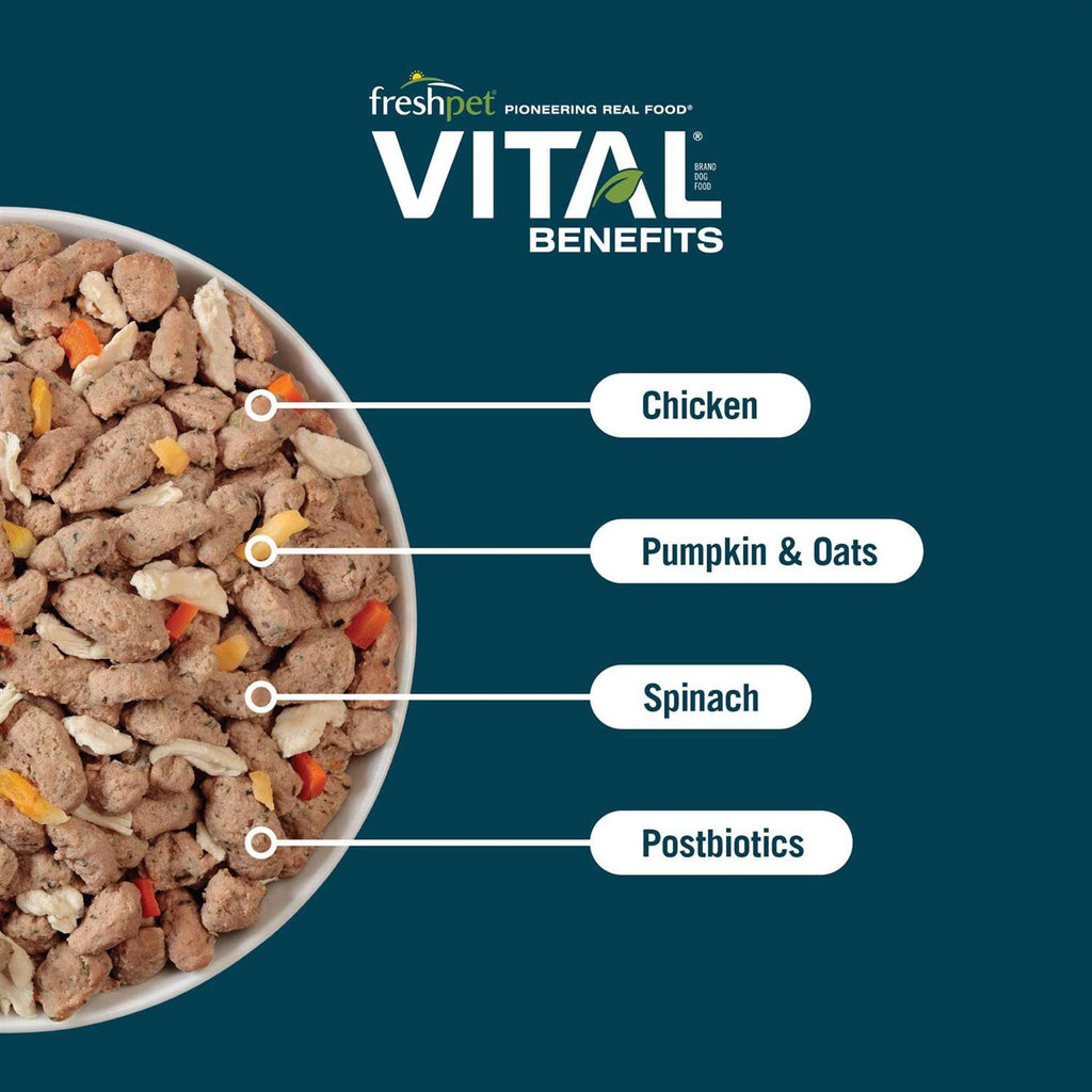 Chicken Recipe Dog Food V682598